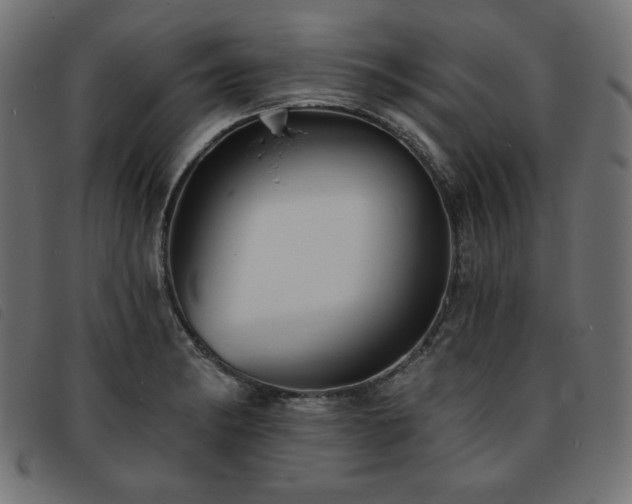 X0000093761182200710161217