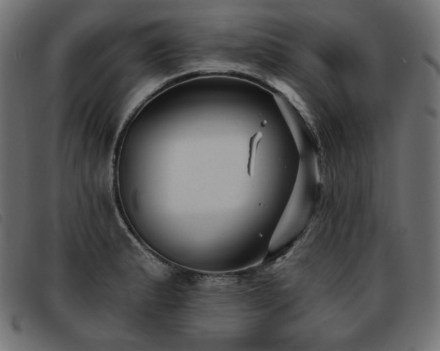 X0000093761183200710161217