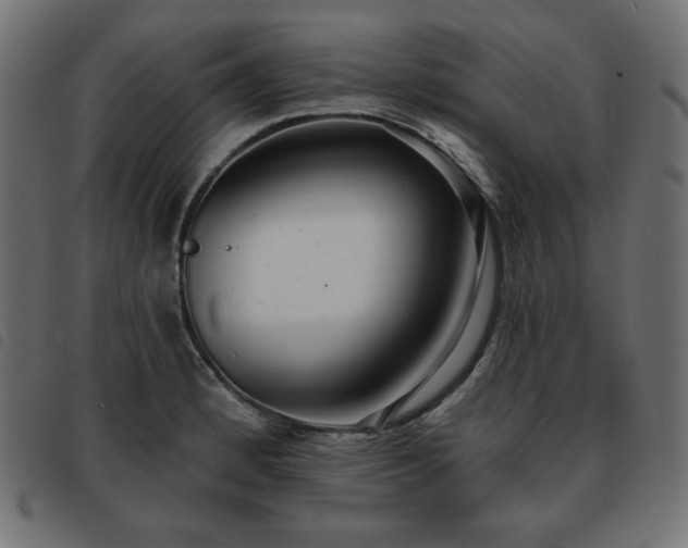 X0000093761184200710161217