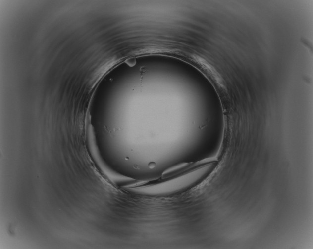 X0000093761185200710161217