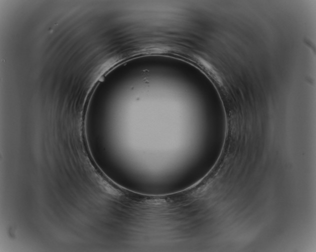 X0000093761186200710161217