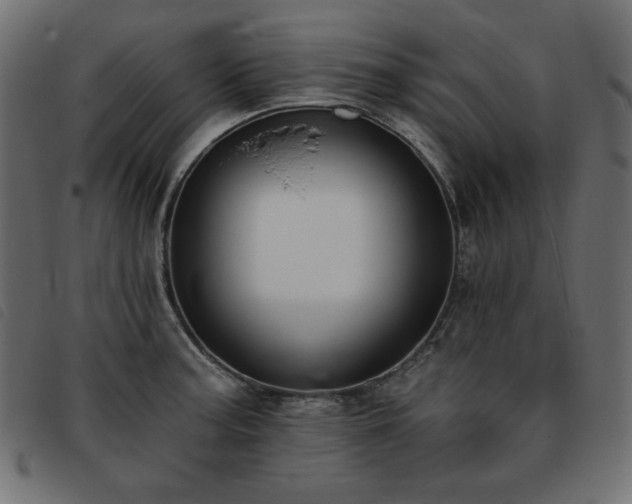 X0000093761187200710161217