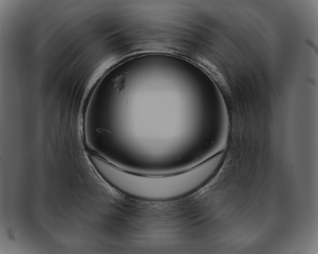 X0000093761188200710161217