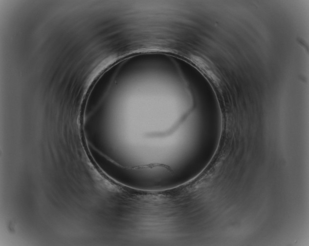 X0000093761189200710161217