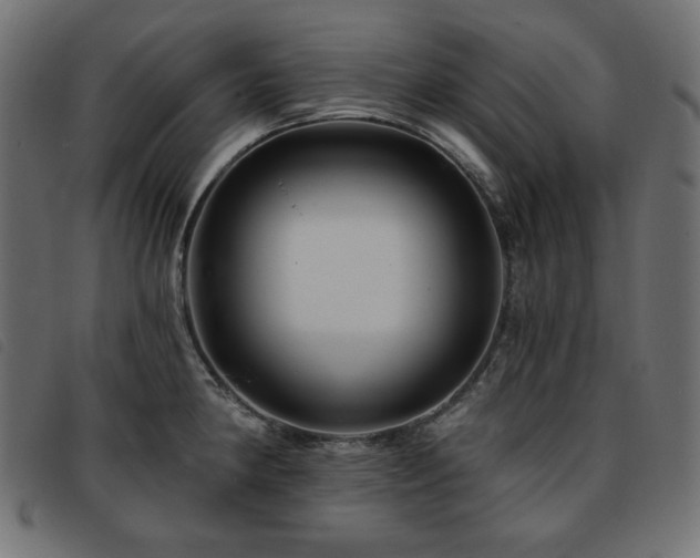 X0000093761190200710161217