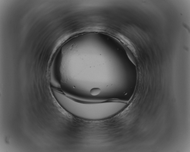 X0000093761192200710161217