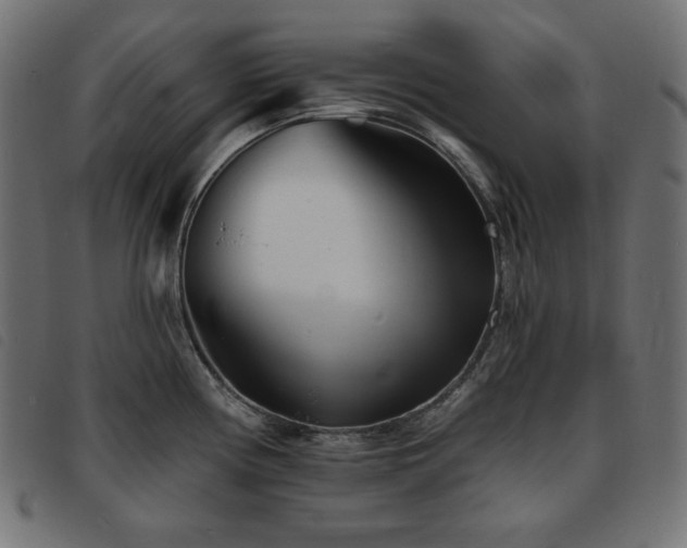 X0000093761194200710161217