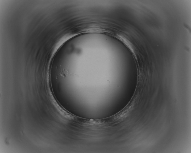 X0000093761195200710161217