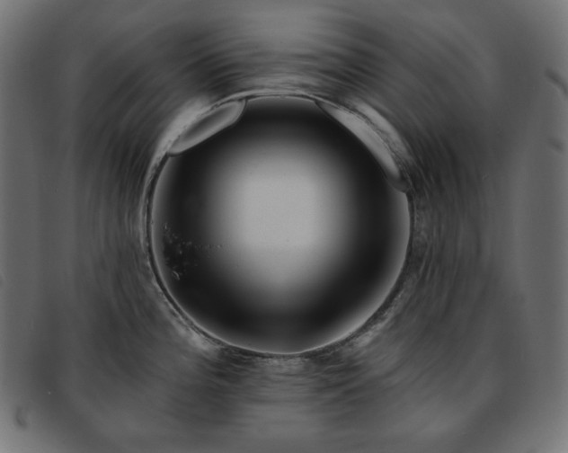 X0000093761196200710161217