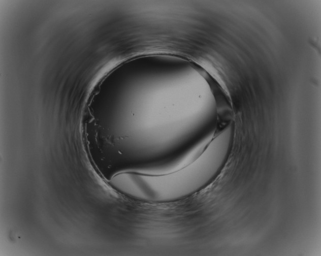 X0000093761197200710161217