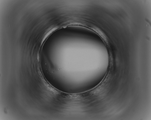 X0000093761198200710161217
