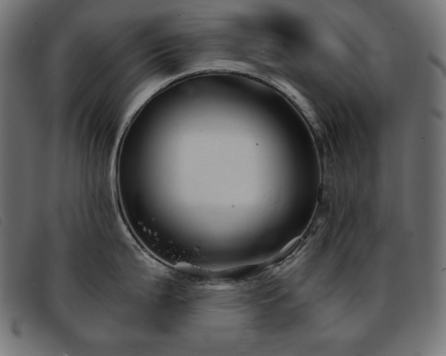 X0000093761199200710161217