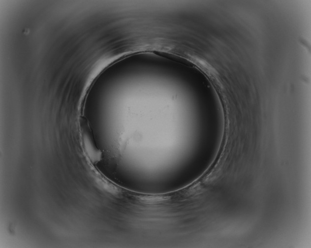 X0000093761200200710161217