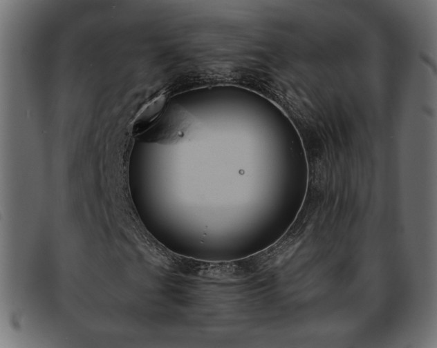 X0000093761201200710161216