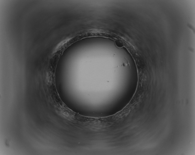 X0000093761207200710161216