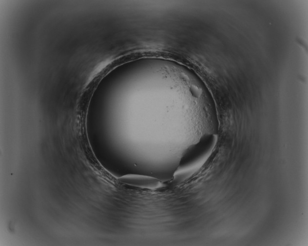 X0000093761208200710161216