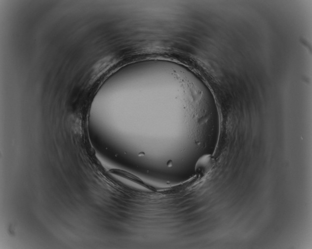 X0000093761209200710161216