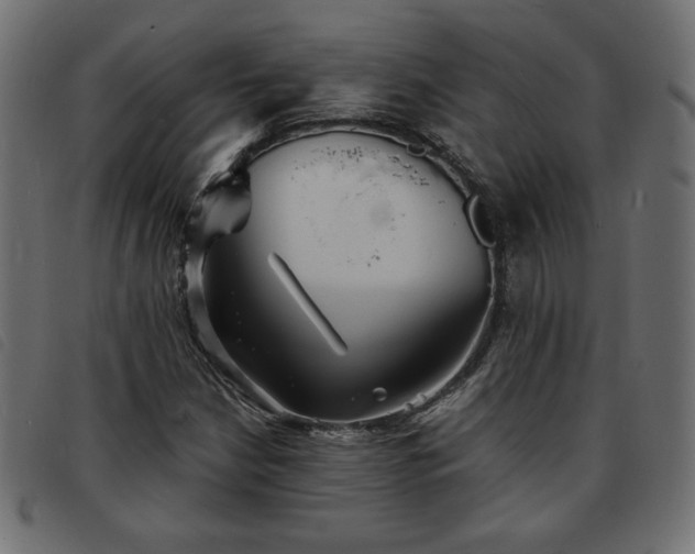X0000093761210200710161216
