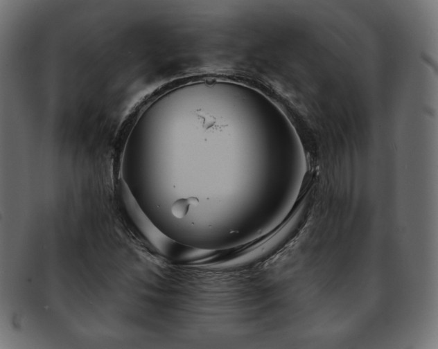 X0000093761214200710161216