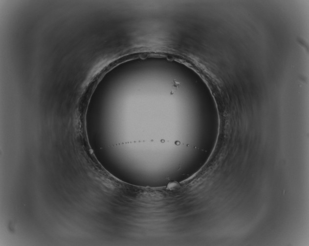 X0000093761215200710161216