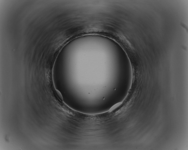 X0000093761217200710161217