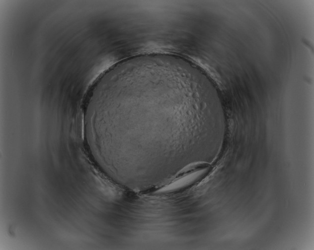 X0000093761219200710161217