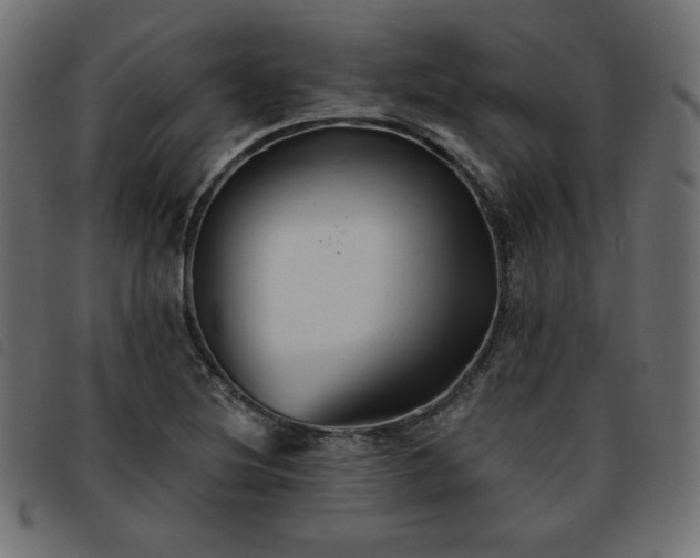 X0000093761220200710161217