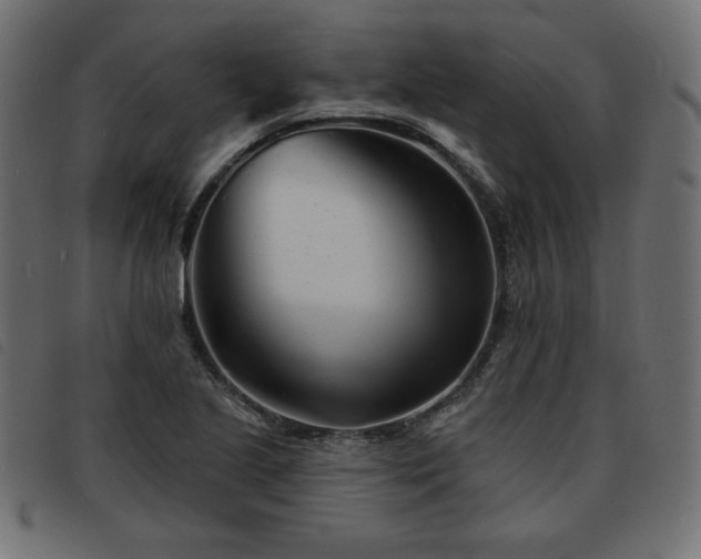 X0000093761221200710161217