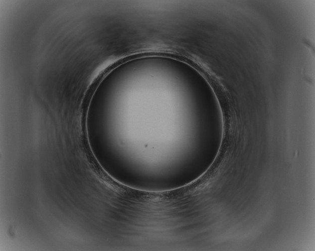 X0000093761222200710161217