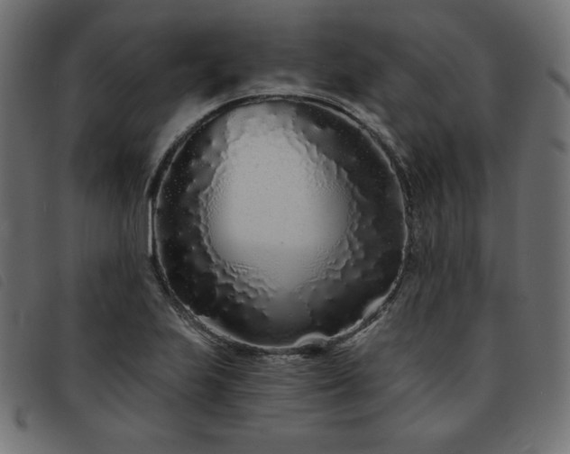 X0000093761223200710161217