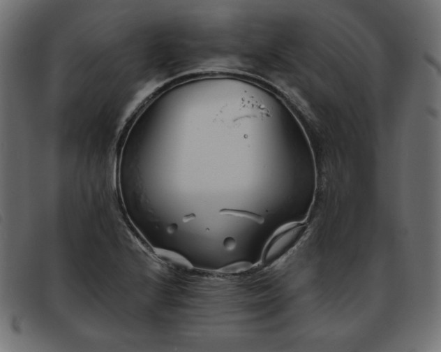 X0000093761224200710161217