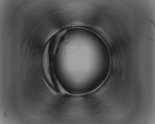 X0000093761225200710161217