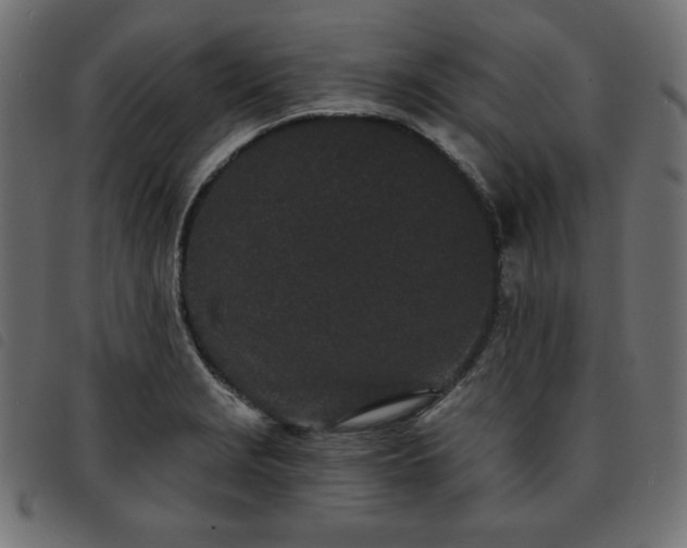 X0000093761229200710161217