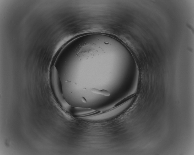 X0000093761230200710161217
