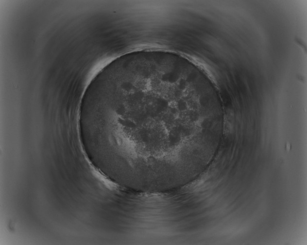 X0000093761231200710161217