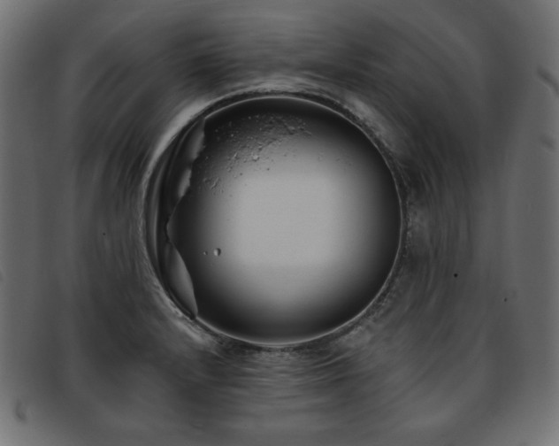 X0000093761232200710161217