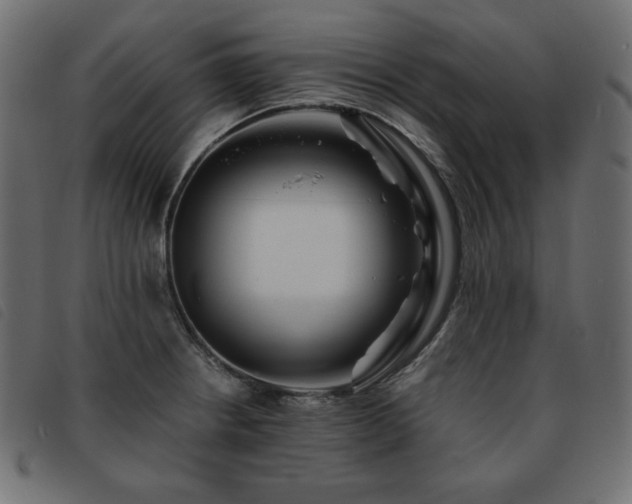 X0000093761234200710161217