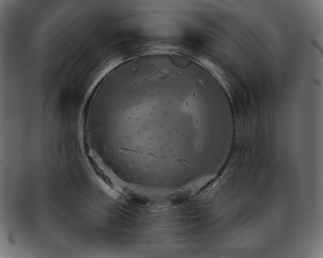 X0000093761235200710161217