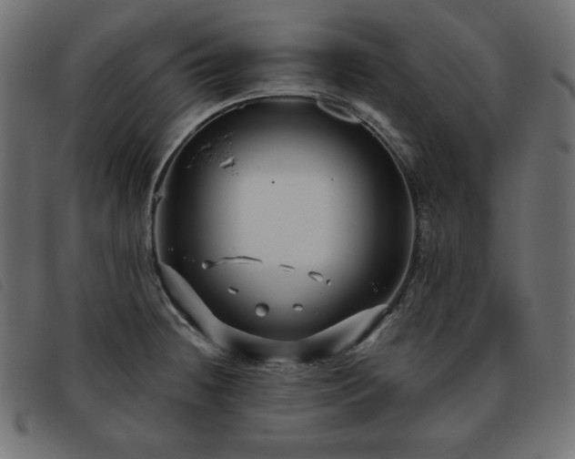 X0000093761236200710161217