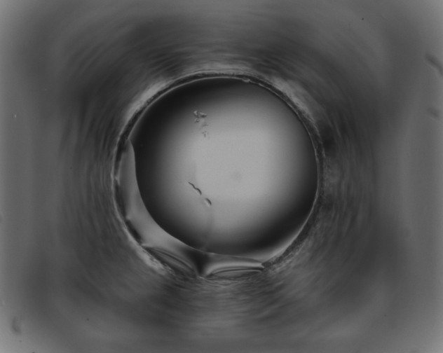 X0000093761237200710161217