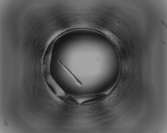 X0000093761238200710161217