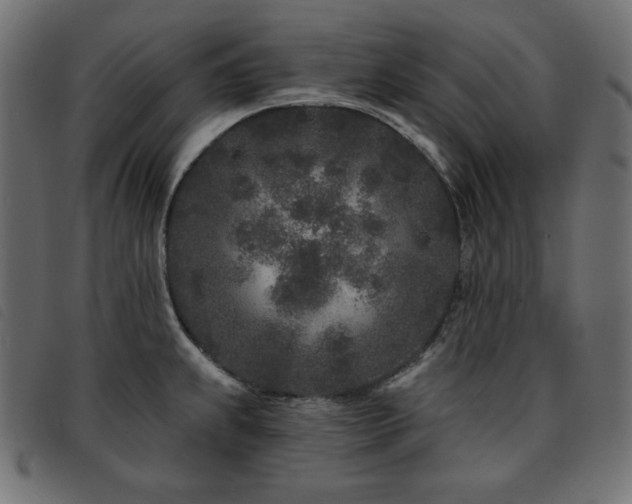 X0000093761239200710161217