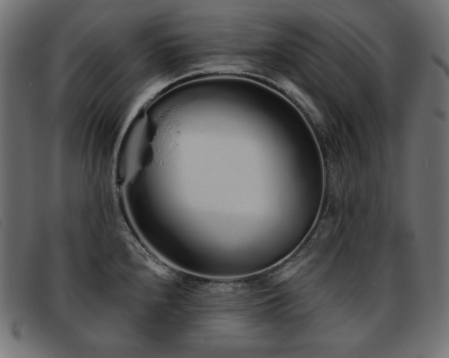 X0000093761240200710161217