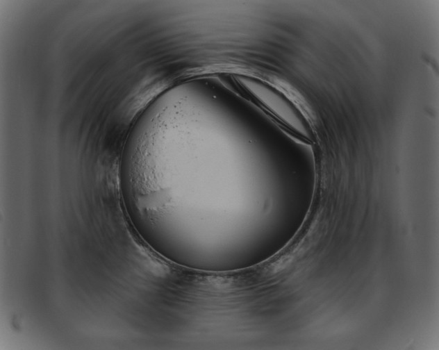 X0000093761241200710161217