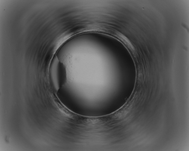 X0000093761242200710161217