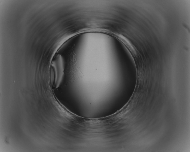 X0000093761244200710161217