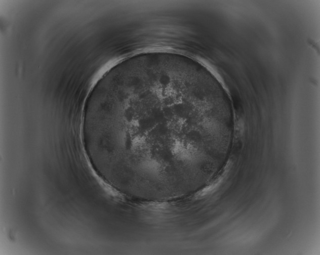X0000093761245200710161217