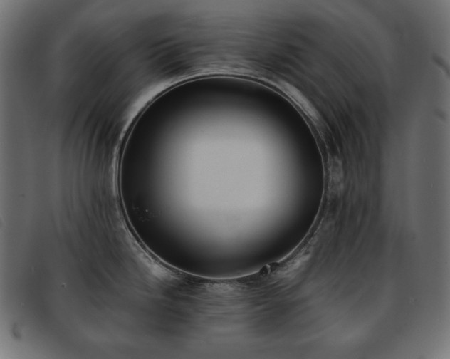 X0000093761246200710161217