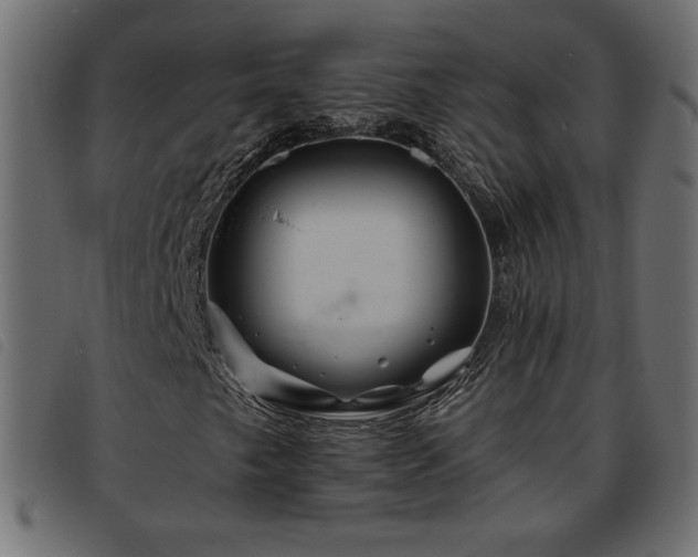 X0000093761249200710161216