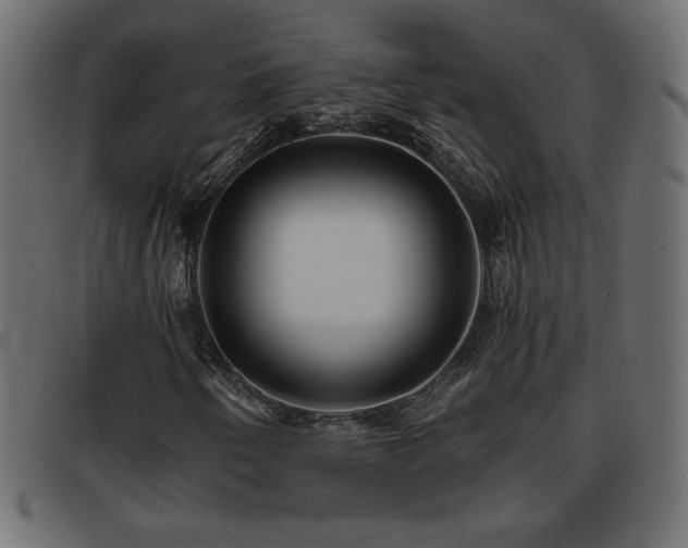 X0000093761250200710161216